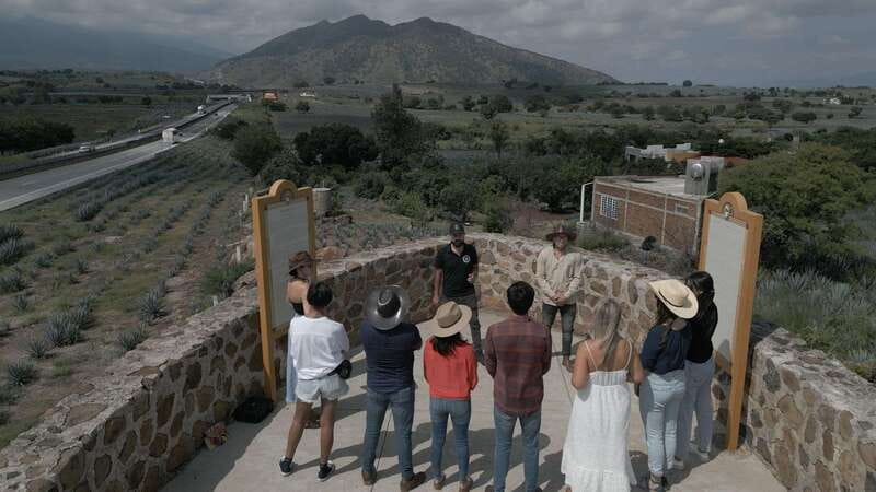 Guadalajara: Premium Tequila Tour with Tastings and Pairings - The Puerta del Agave viewpoint and agave country