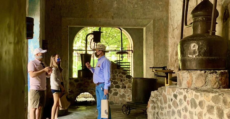 Guadalajara: Tequila Day Trip with Jose Cuervo Option - Who should book this experience?