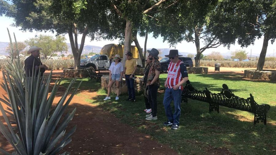 Guadalajara: Tequila Day Trip with Jose Cuervo Option - Should you add the José Cuervo distillery?