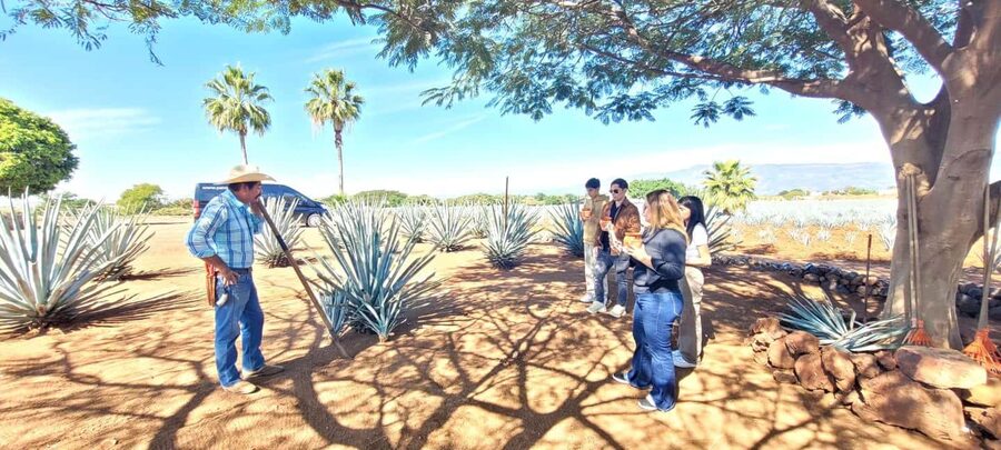 Guadalajara: Tequila Day Trip with Jose Cuervo Option - What to bring and how to prepare