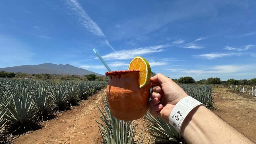 Guadalajara: Tequila Day Trip with Jose Cuervo Option - The one-hour ride through Jalisco’s agave country