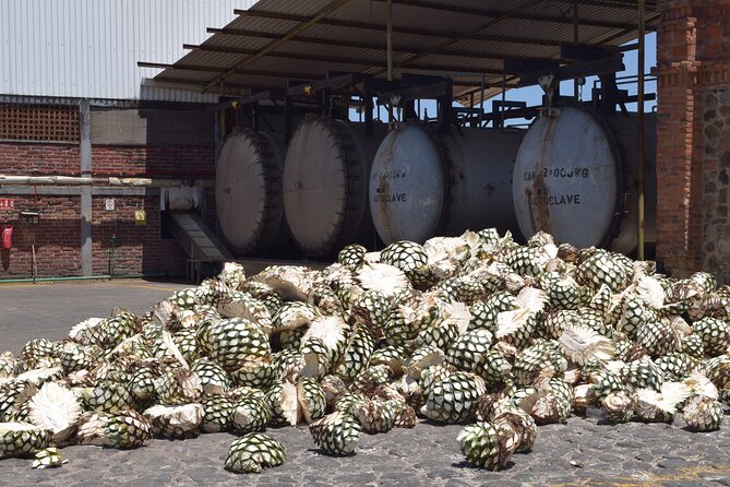 Guided Full Day Tour to Tequila and Cantaritos el Guero - Arriving in Tequila for Distilleries and the Historic Center
