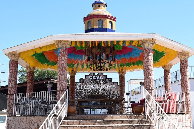 Guided Full Day Tour to Tequila and Cantaritos el Guero - Who Will Get the Most From This Tour