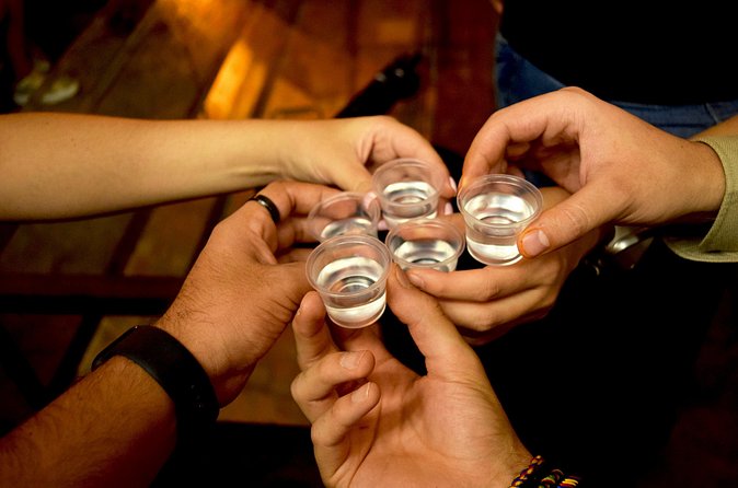 Guided Full Day Tour to Tequila and Cantaritos el Guero - Practical Booking Advice for the Day