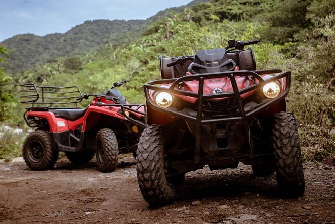 Half-Day Vallarta ATV Single Experience with Tequila Tasting - The climb into the jungle