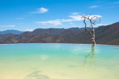 Hierve el Agua, Tule Tree, Mitla and Mezcal Distillery Tour