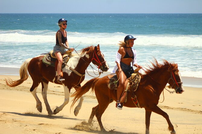 Horseback Riding Adventure in Playa Migriño with Tequila Tasting - From Cabo San Lucas to the open Baja coast