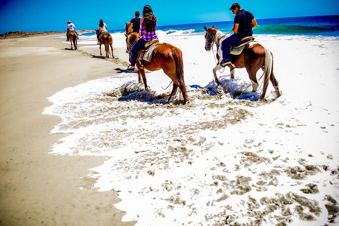 Horseback Riding Adventure in Playa Migriño with Tequila Tasting - The high viewpoint called the guide’s office