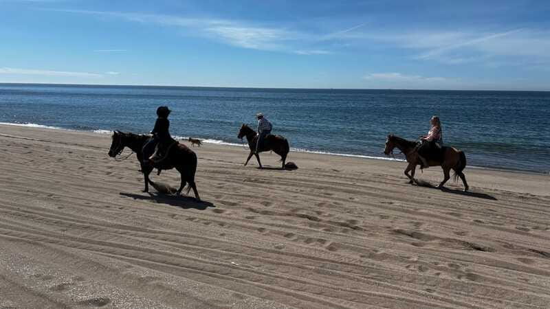 Horseback riding and Temazcal combo with lunch and mezcal - The zipline question and what it means for you