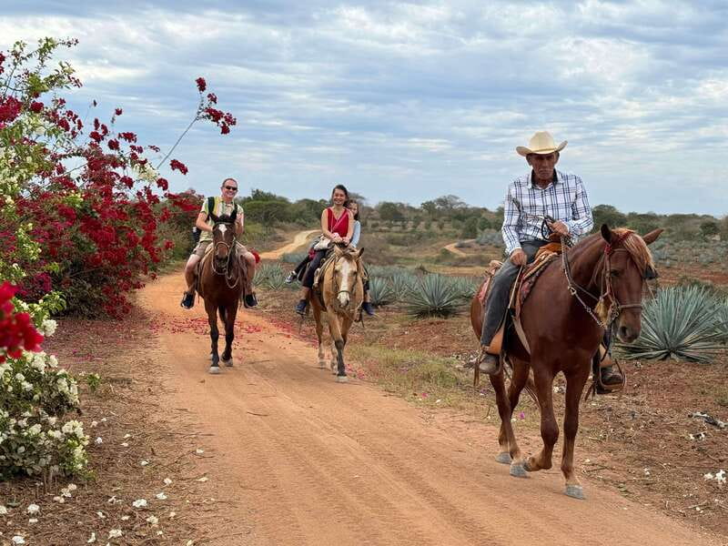 Horseback riding and Temazcal combo with lunch and mezcal - A lunch that earns its place in the day