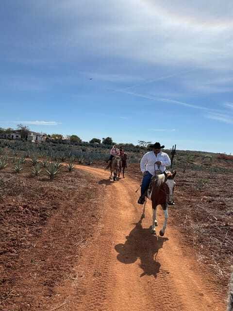 Horseback riding and Temazcal combo with lunch and mezcal - The mud bath and temazcal ritual