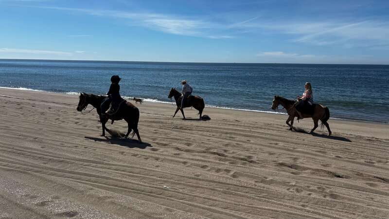 Horseback riding and Temazcal combo with lunch and mezcal - The ride from Mazatlán to the ranch