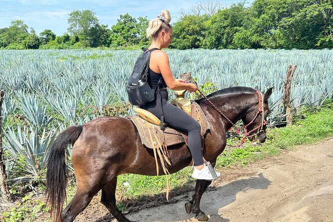Horseback Riding & Swim: Tequila Tasting, BBQ & Margaritas - Guides who shape the mood