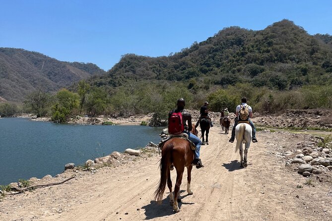 Horseback Riding & Swim: Tequila Tasting, BBQ & Margaritas - Choosing your horse at Hacienda Doña Engracia