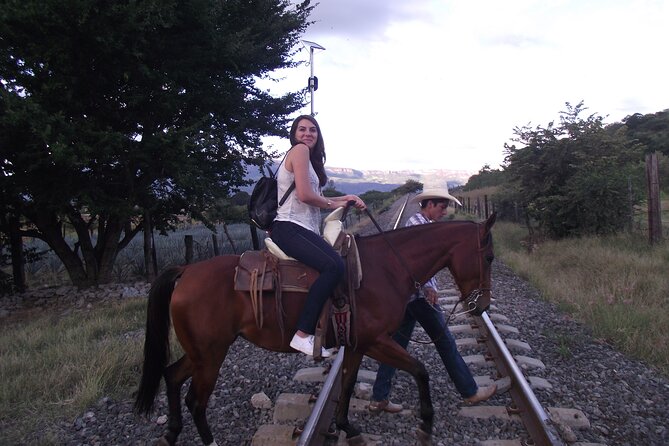 Horseback Riding Tour in The Agave Field with Lunch - Why this Guadalajara day trip works