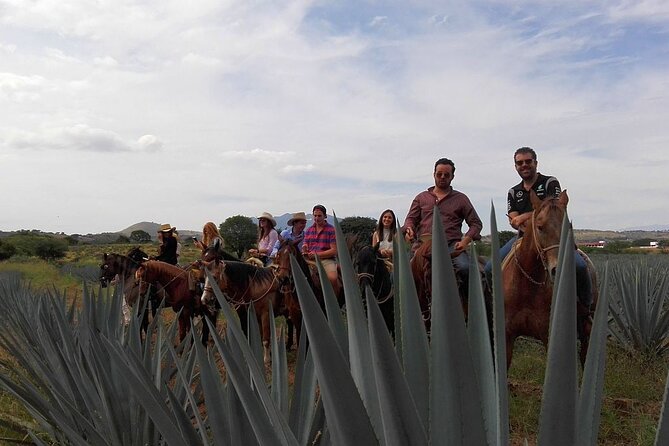 Horseback Riding Tour in The Agave Field with Lunch - Riding through Amatitán’s agave fields