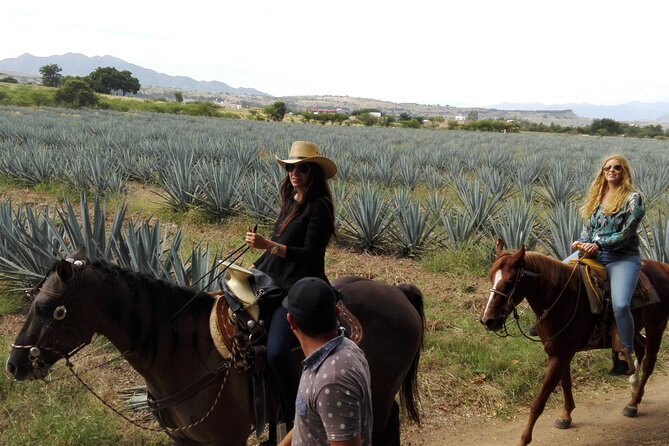 Horseback Riding Tour in The Agave Field with Lunch - Lunch underground at La Taberna del Cofrade