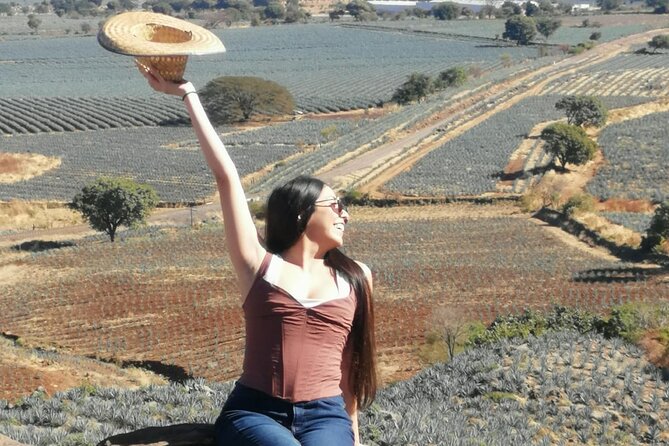 Horseback Riding Tour in The Agave Field with Lunch - What the tour includes, and what it does not