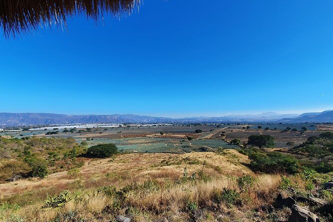 Horseback Riding Tour in The Agave Field with Lunch - Who should book this experience