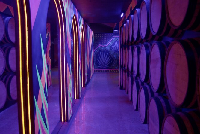 Immersive Experience & Tequila Tasting in Puerto Vallarta - The first drink sets a welcoming tone