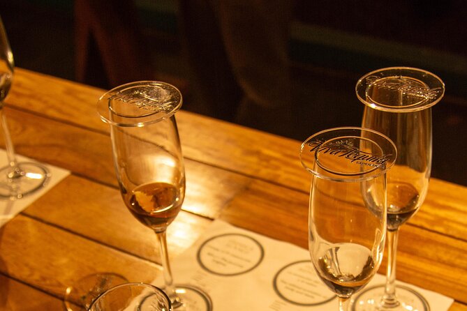 Immersive Experience & Tequila Tasting in Puerto Vallarta - Who will enjoy this most?