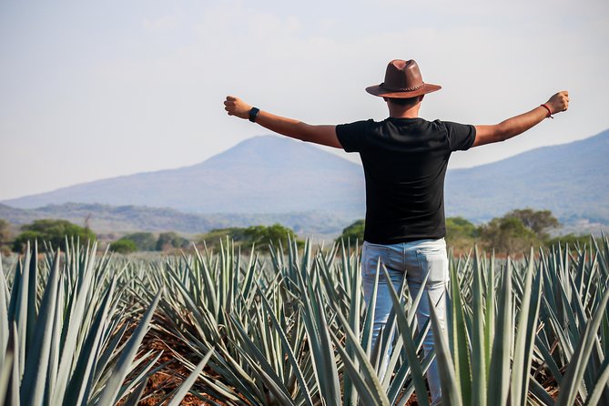 José Cuervo Tequila Day Experience from Guadalajara - Why this Guadalajara day trip works