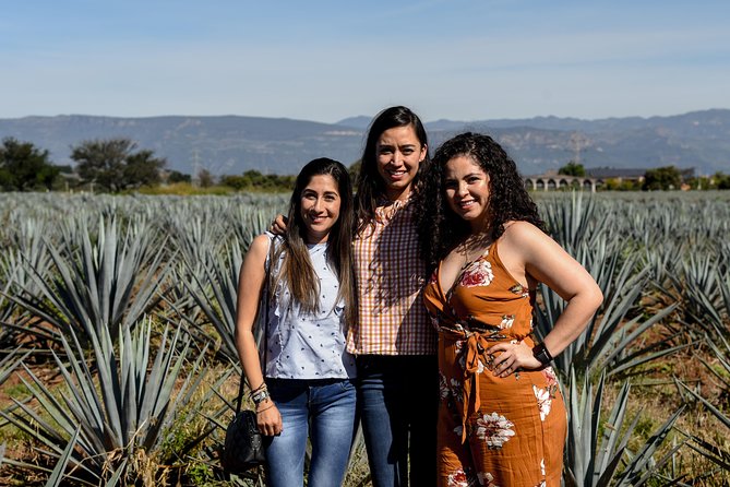 José Cuervo Tequila Day Experience from Guadalajara - What the $107 price really buys you