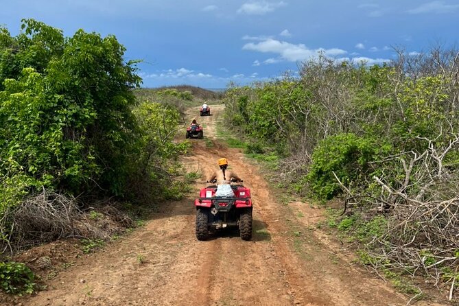 Jungle and beach ATV tour + lunch + tequila tasting - From Mazatlan to a family-run ranch