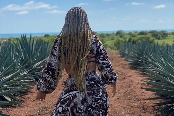 Jungle and beach ATV tour + lunch + tequila tasting - The Lionso family connection