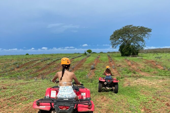 Jungle and beach ATV tour + lunch + tequila tasting - Who will enjoy this Mazatlan excursion?