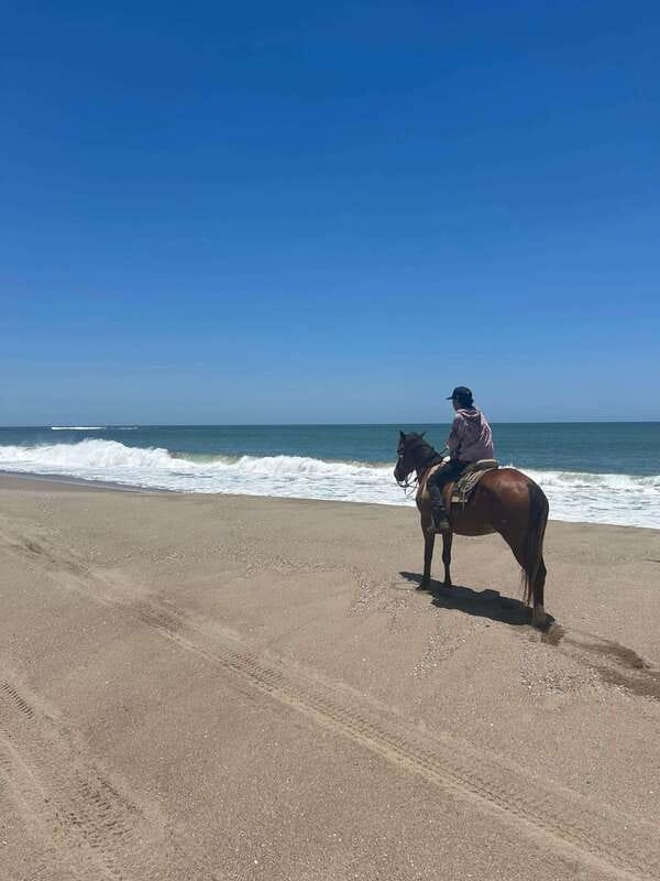 Jungle and beach horseback ride + lunch + mezcal - Should You Book the Jungle and Beach Horseback Ride?
