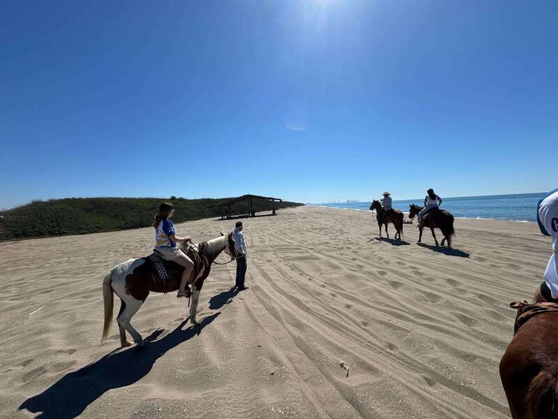 Jungle and beach horseback ride + lunch + mezcal - Leaving Mazatlán for Mr. Lionso Ranch
