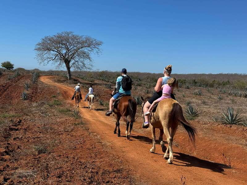Jungle and beach horseback ride + lunch + mezcal - The Overall Mood: Friendly and Unhurried