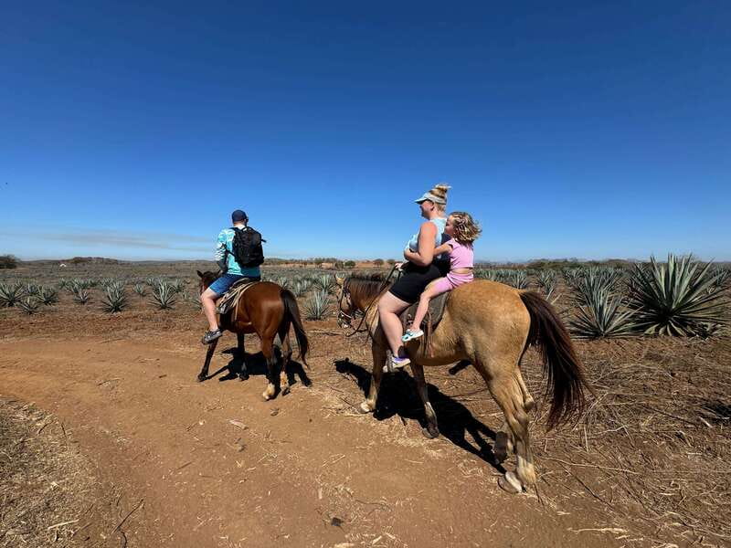 Jungle and beach horseback ride + lunch + mezcal - The 90-Minute Horse Ride Through Jungle and Beach