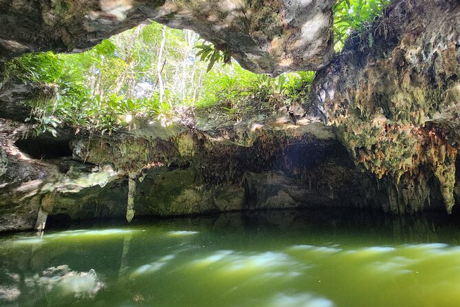 Jungle, Caverns and Tequila Mayan ATV Experience - Starting at El Cedral, Cozumel’s Oldest Village