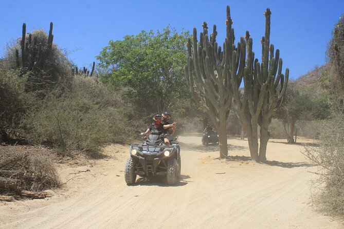Los Cabos Beach & Desert Tour in Automatic ATV + Tequila Tasting - The real price: $75 is only the starting point