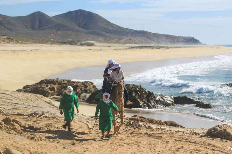 Los Cabos: Camel Ride Safari with Lunch and Tequila Tasting - The ecological reserve and Baja plant life