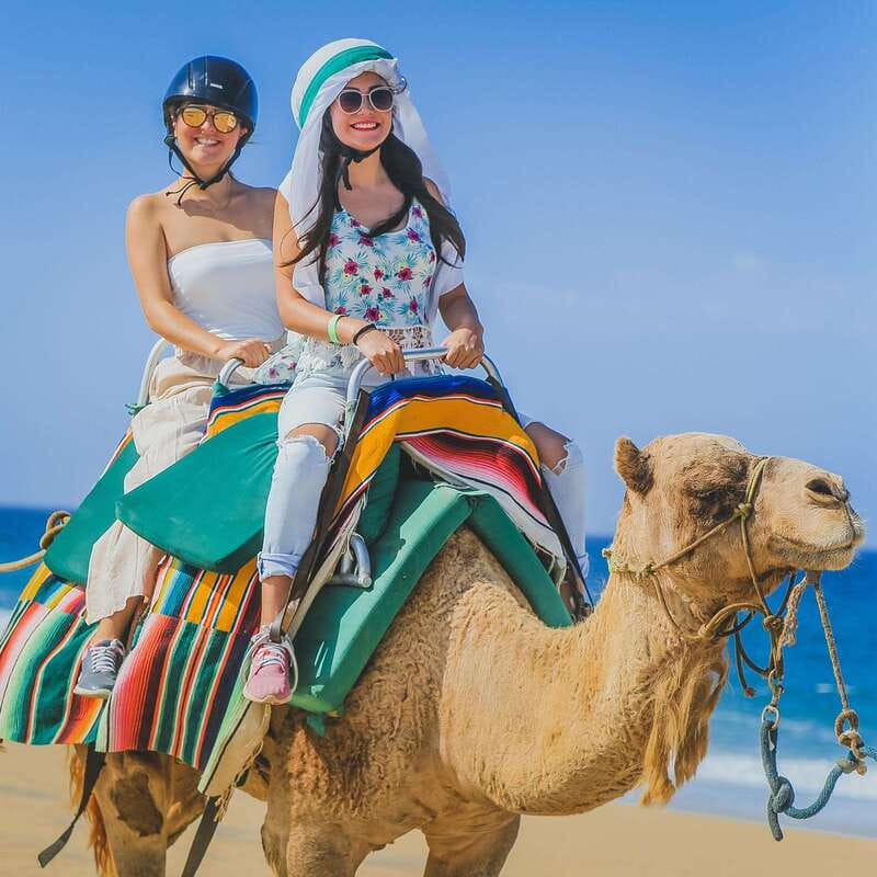Los Cabos: Camel Ride Safari with Lunch and Tequila Tasting - Tequila tasting with the basics explained