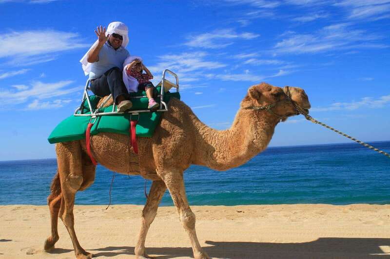 Los Cabos: Camel Ride Safari with Lunch and Tequila Tasting - Is $140 a fair price?