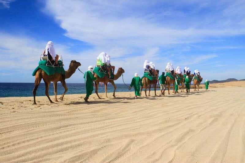 Los Cabos: Camel Ride Safari with Lunch and Tequila Tasting - Practical details that can affect your day