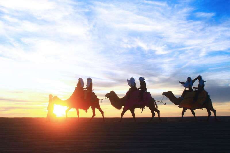 Los Cabos: Camel Ride Safari with Lunch and Tequila Tasting - Pickup from Cabo San Lucas or San José del Cabo