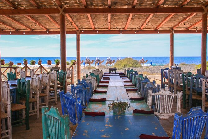Magical Todos Santos Tour, Camel Ranch, Lunch and Tequila - Guides shape the quality of the day