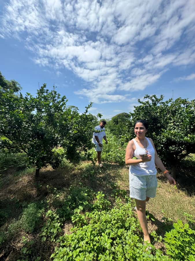 Mazatlán: Fruit Tour with Lunch and Mezcal Tasting - Lunch with flambee cheese and burritos