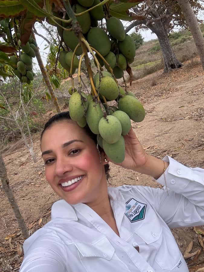 Mazatlán: Fruit Tour with Lunch and Mezcal Tasting - A quick look at agave and the countryside