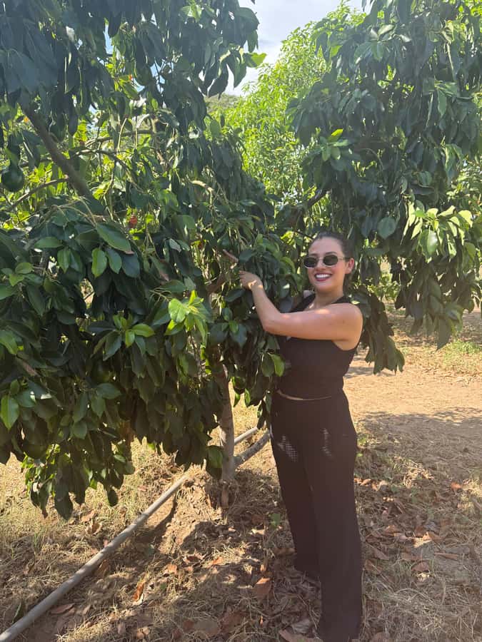 Mazatlán: Fruit Tour with Lunch and Mezcal Tasting - Is $58 a fair price?