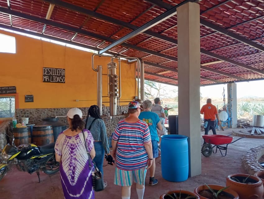 Mazatlan: Mezcal Factory Tour with Tasting and Lunch - Who Should Book This Experience?