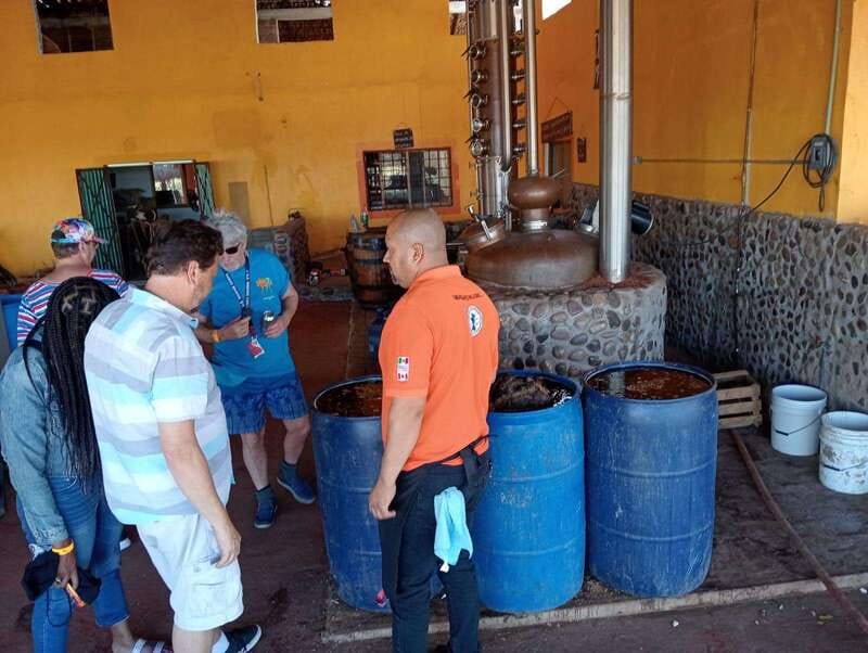 Mazatlan: Mezcal Factory Tour with Tasting and Lunch - The Mezcal Tasting: Seven Flavors, Two Styles