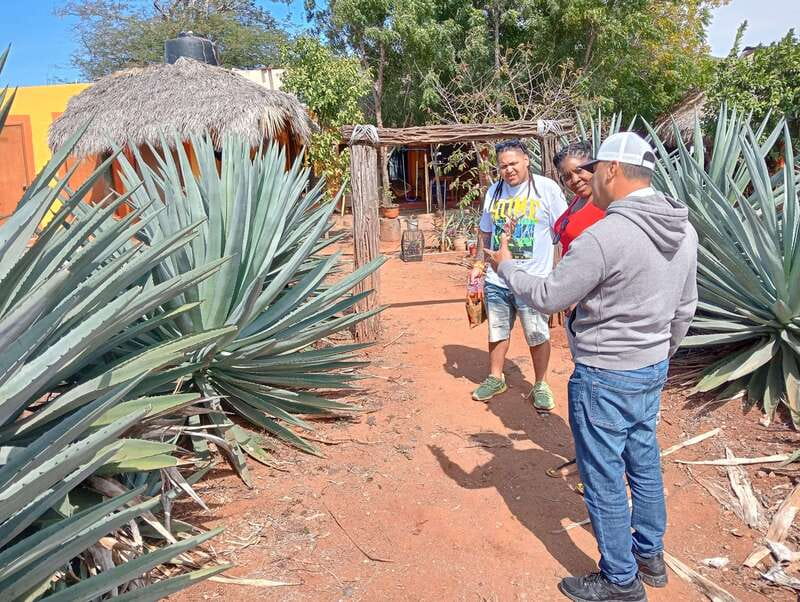 Mazatlan: Mezcal Factory Tour with Tasting and Lunch - Time To Shop, Ride, Or Rest