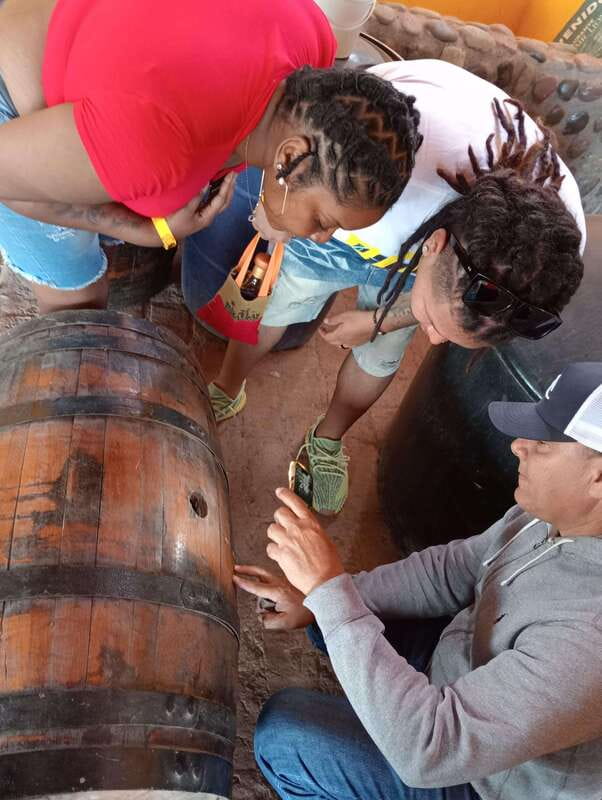 Mazatlan: Mezcal Factory Tour with Tasting and Lunch - Timing, Languages, And Practical Details
