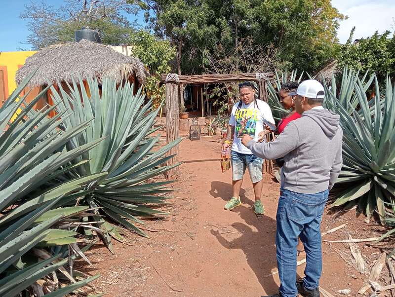 Mazatlan: Mezcal Factory Tour with Tasting and Lunch - Arriving At Mr. Lionso Ranch